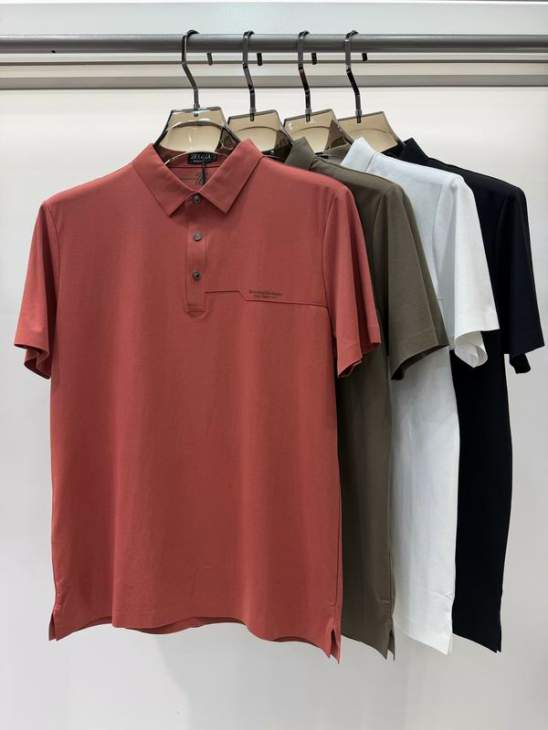 Picture of Zegna Polo Shirts Short _SKUZegnaM-4XL13xr5225210